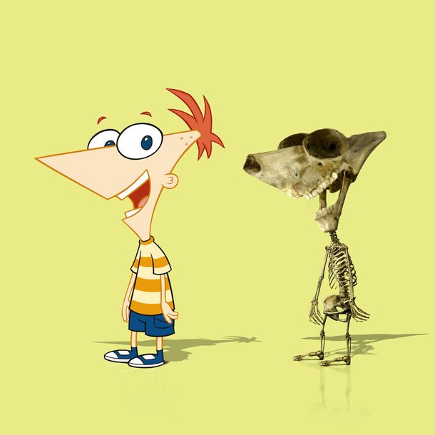 Phines e Ferb é exibido pela emissora Disney Channel.