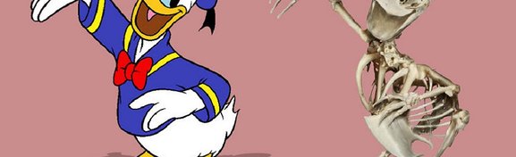Imagem de 11 esqueletos realistas de personagens de desenhos animados no megacurioso