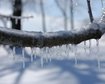 thumb-image-2024-02-29T14:05:25.667Z