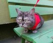thumb-image-2024-02-29T14:05:25.582Z