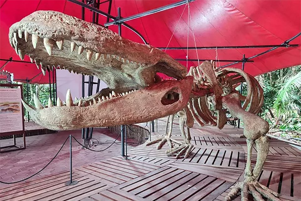 Dynamoterror”, primo de T-Rex, é novo dinossauro descoberto