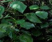 thumb-image-2024-02-29T14:05:26.293Z