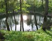 thumb-image-2024-02-29T14:05:26.485Z