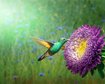 thumb-image-2024-02-29T14:05:26.669Z
