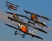 thumb-image-2024-02-29T14:05:27.761Z