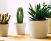 thumb-image-2024-02-29T14:05:26.925Z