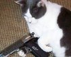 thumb-image-2024-02-29T14:05:27.187Z