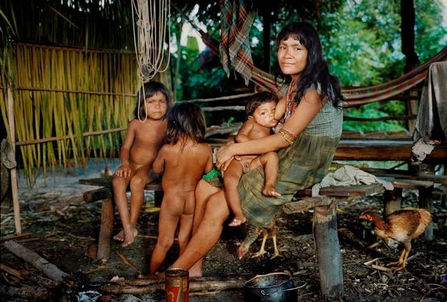 Fonte: Povos Indígenas Brasileiros