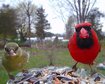 thumb-image-2024-02-29T14:05:28.655Z