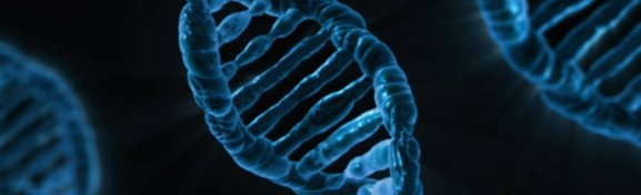 Imagem de Qual é a espécie mais geneticamente diversa do mundo? no megacurioso