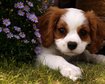 thumb-image-2024-02-29T14:05:29.822Z