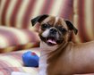 thumb-image-2024-02-29T14:05:31.012Z