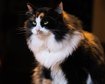 thumb-image-2024-02-29T14:05:31.159Z