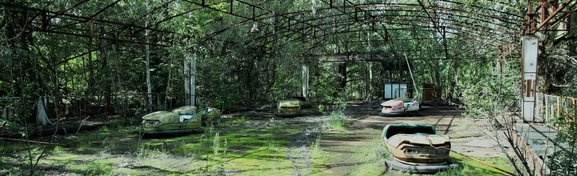 Imagem de Chernobyl: por que o desastre nuclear foi bom para a natureza? no megacurioso