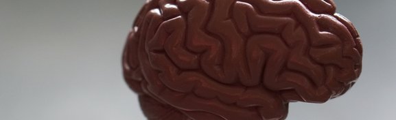 Imagem de O bizarro caso do estudante que quase não tinha cérebro no megacurioso