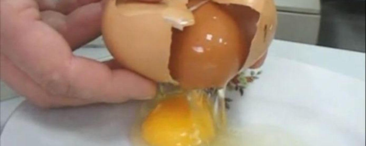 Quebra ovo da galinha, Imagem
