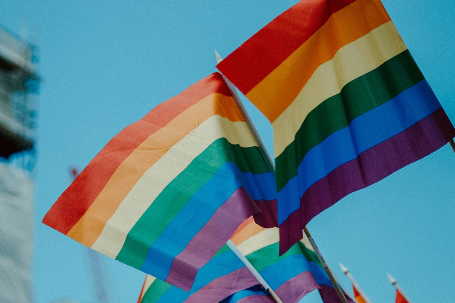 A bandeira do orgulho LGBTQIA+ costuma carregar as corres do arco-íris (Imagem: Unsplash)