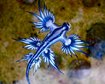 thumb-image-2024-02-29T14:05:31.624Z