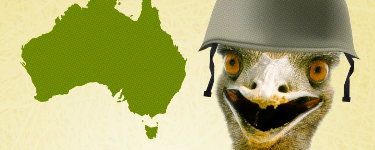 Ô + Imagens Vídeos Quem ganhou Aus Sobre Guerra aos Emus, também