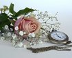 thumb-image-2024-02-29T14:05:34.496Z