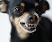 thumb-image-2024-02-29T14:05:34.047Z