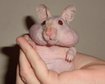 thumb-image-2024-02-29T14:05:34.333Z