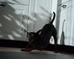 thumb-image-2024-02-29T14:05:34.847Z