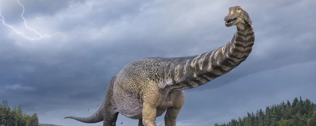 Dinossauro gigante descoberto há 15 anos finalmente ganha nome:  Australotitan - Canaltech