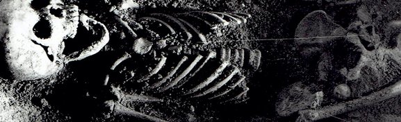 Imagem de Esqueleto humano de 300 anos com pássaro na boca intriga arqueólogos no megacurioso