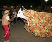 thumb-image-2024-02-29T14:05:36.081Z