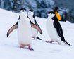 thumb-image-2024-02-29T14:05:35.855Z