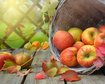 thumb-image-2024-02-29T14:05:36.059Z