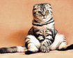 thumb-image-2024-02-29T14:05:36.116Z
