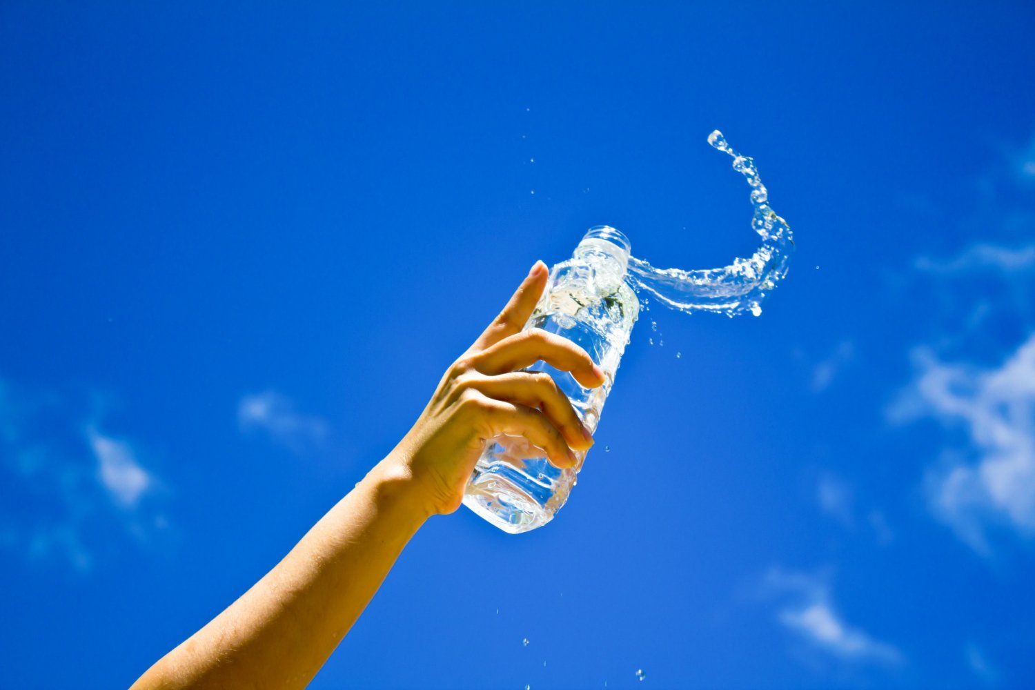 Você pode beber água de graça dentro do parque (Fonte: Freepik/Divulgação)