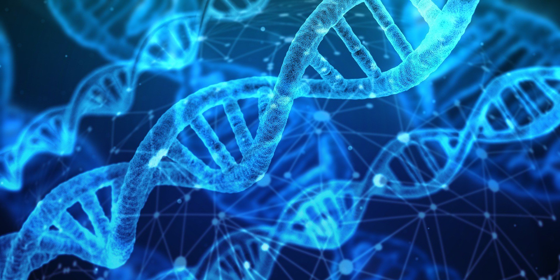 Apesar dos genes fazerem parte do DNA, o DNA é mais do que isso (Imagem: Imagem: Pixabay)
