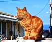 thumb-image-2024-02-29T14:05:38.043Z