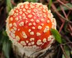 thumb-image-2024-02-29T14:05:38.133Z
