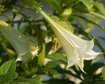 thumb-image-2024-02-29T14:05:40.513Z