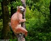 thumb-image-2024-02-29T14:05:39.105Z