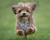 thumb-image-2024-02-29T14:05:39.354Z