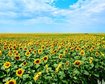 thumb-image-2024-02-29T14:05:39.116Z