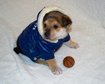 thumb-image-2024-02-29T14:05:39.287Z