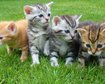 thumb-image-2024-02-29T14:05:40.081Z