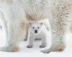 thumb-image-2024-02-29T14:05:41.453Z