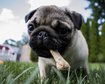 thumb-image-2024-02-29T14:05:41.254Z