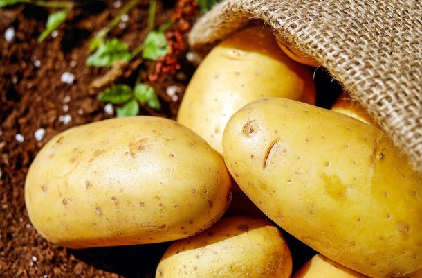 Entre os diversos tipos de batatas, aquelas com casca lisa e macia são as mais indicadas. (Fonte: Pixabay)