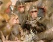thumb-image-2024-02-29T14:05:41.118Z