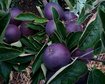 thumb-image-2024-02-29T14:05:41.343Z