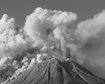 thumb-image-2024-02-29T14:05:42.764Z