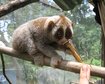 thumb-image-2024-02-29T14:05:43.015Z
